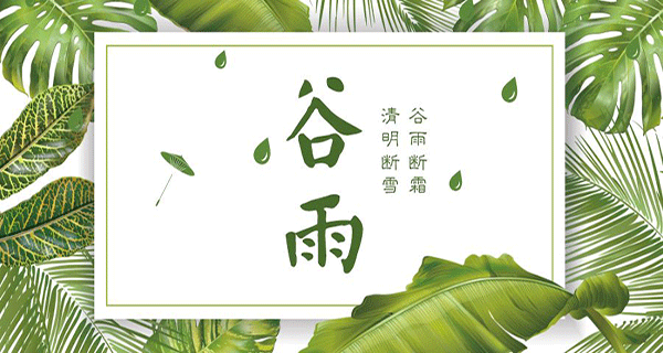 君利木业 | 今日谷雨愿你不负春光不负己