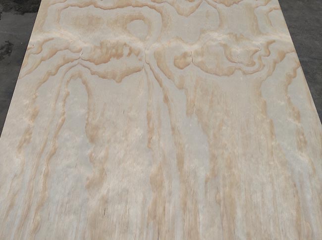 radiata pine plywood